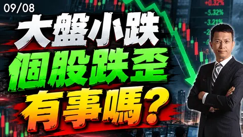 2026/09/08  大盤小跌 個股跌歪 有事嗎?